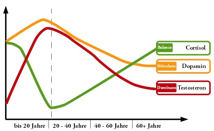 Kennst Du Deine Kunden? Die Zielgruppenanalyse 2 Limbic Types Hormone